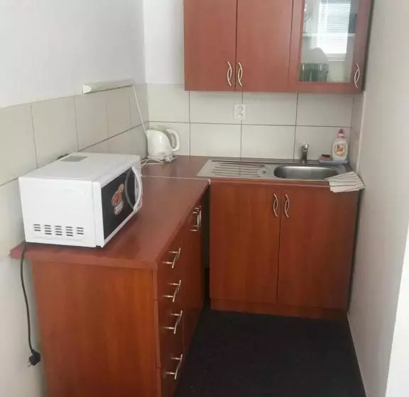 ペンション Penzion U Můstku Jiřího Rašky
