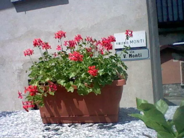 Majatalo Casa Giardinetto