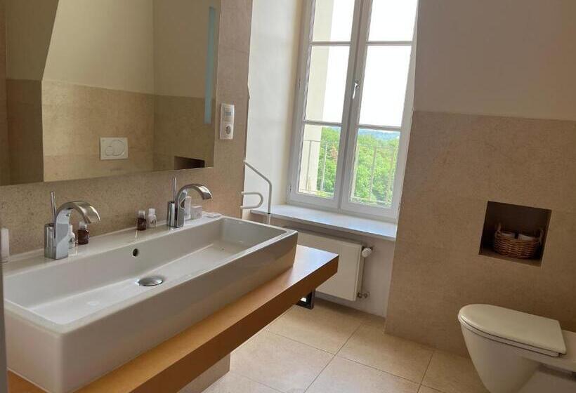 פנסיון Chateau Des Faugs