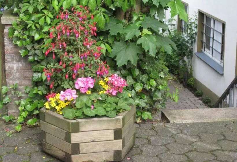 پانسیون Heidi's Art