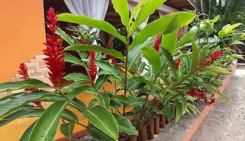 ペンション Pousada Canoa Caiçara Ilhabela