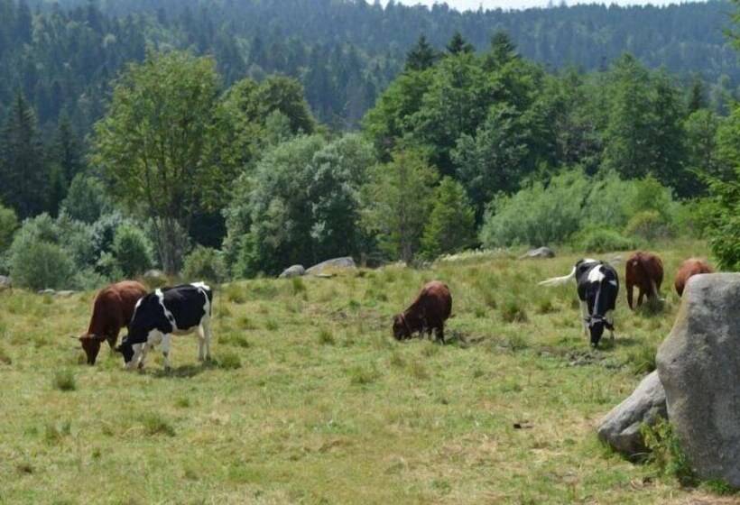 Hostel Auberge D'altitude De Grouvelin