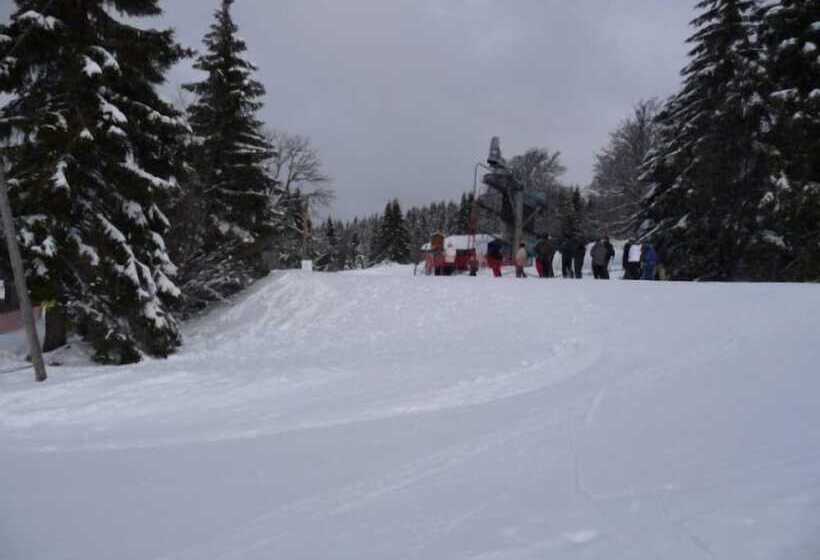 Hostel Auberge D'altitude De Grouvelin