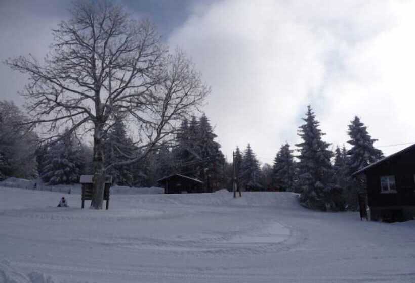 Hostel Auberge D'altitude De Grouvelin