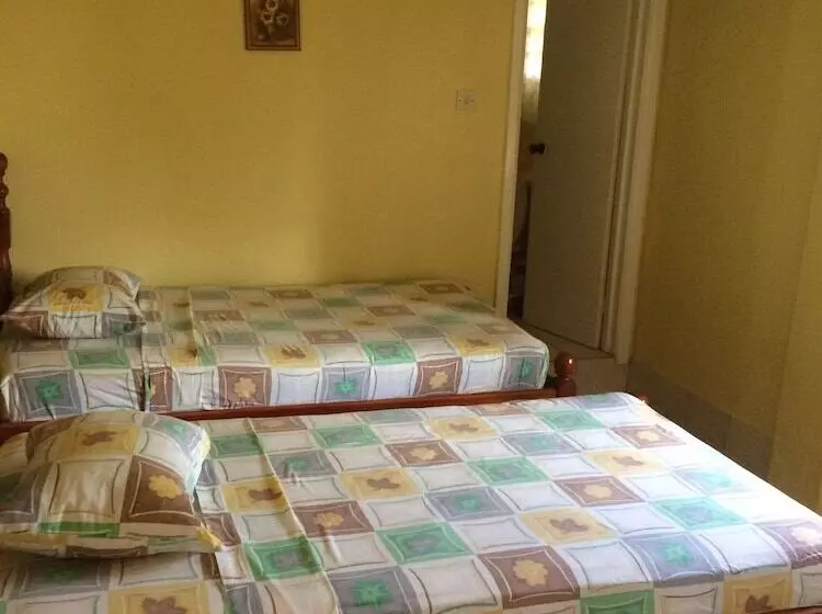 هاستل Golden Arrow Inn