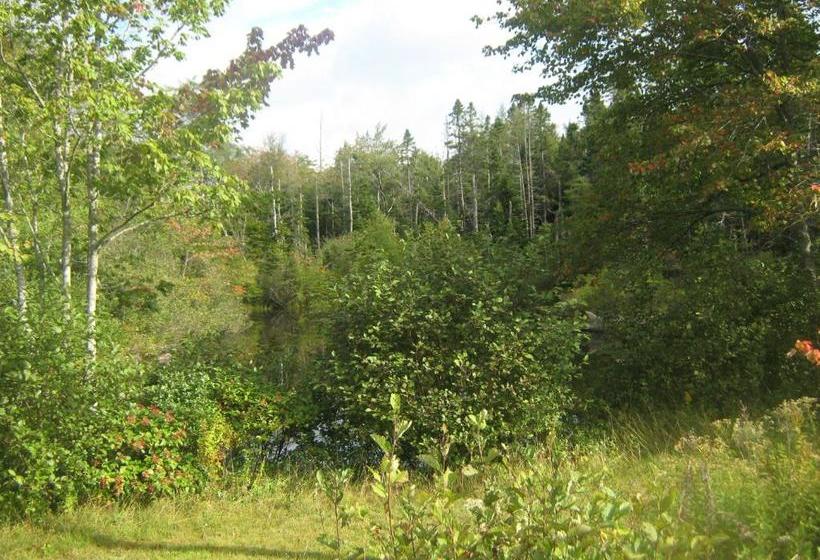 旅馆 Sherbrooke Village Inn