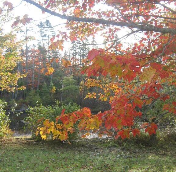 旅馆 Sherbrooke Village Inn