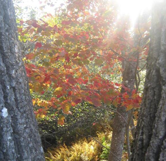 旅馆 Sherbrooke Village Inn