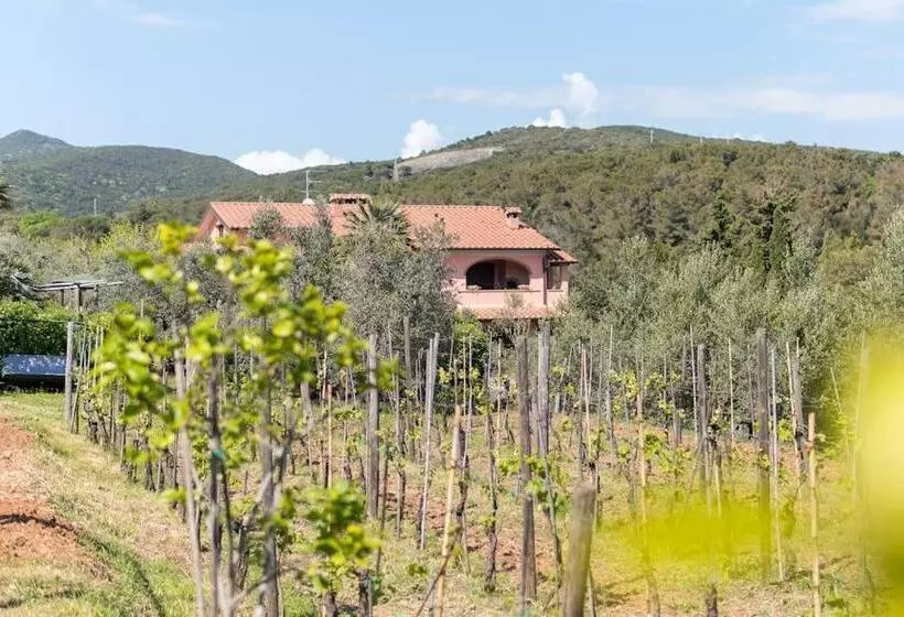 ホテル Agriturismo De Santis
