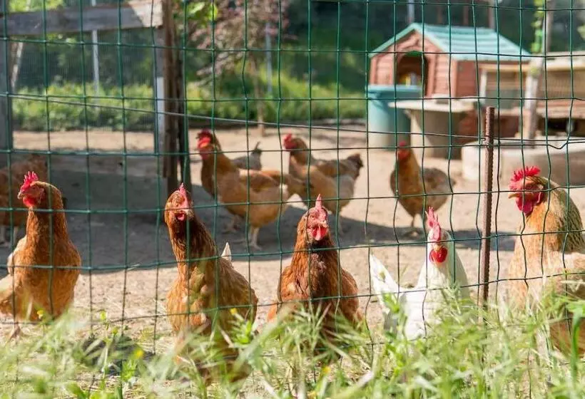 ホテル Agriturismo De Santis