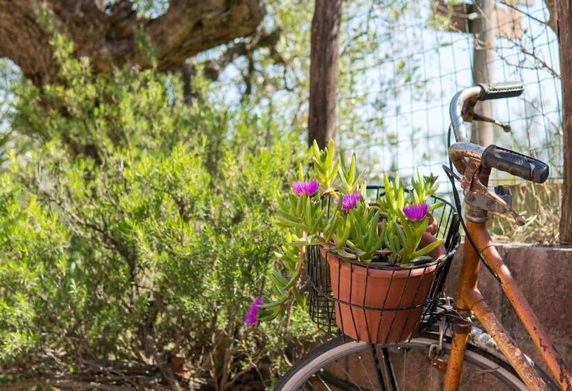 בית מלון כפרי Agriturismo De Santis