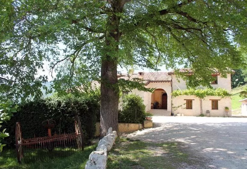 هتل Agriturismo Il Casale Degli Amici