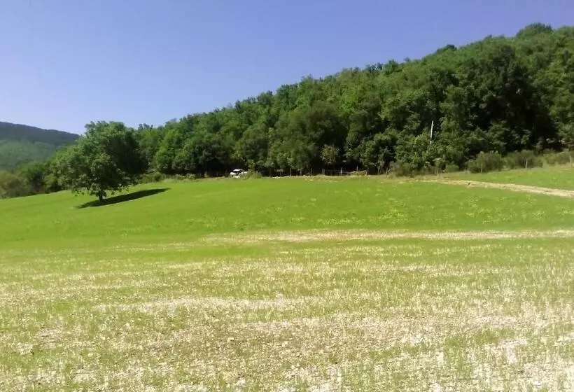 هتل Agriturismo Il Casale Degli Amici