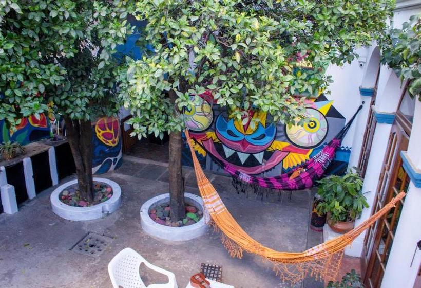 پانسیون Casa Blanca Hostel