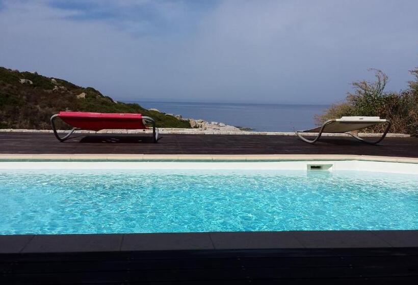 بنسيون Castelia