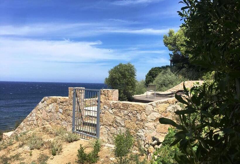 بنسيون Castelia