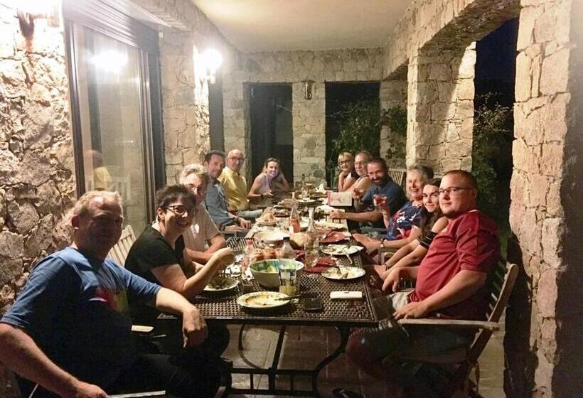 بنسيون Castelia