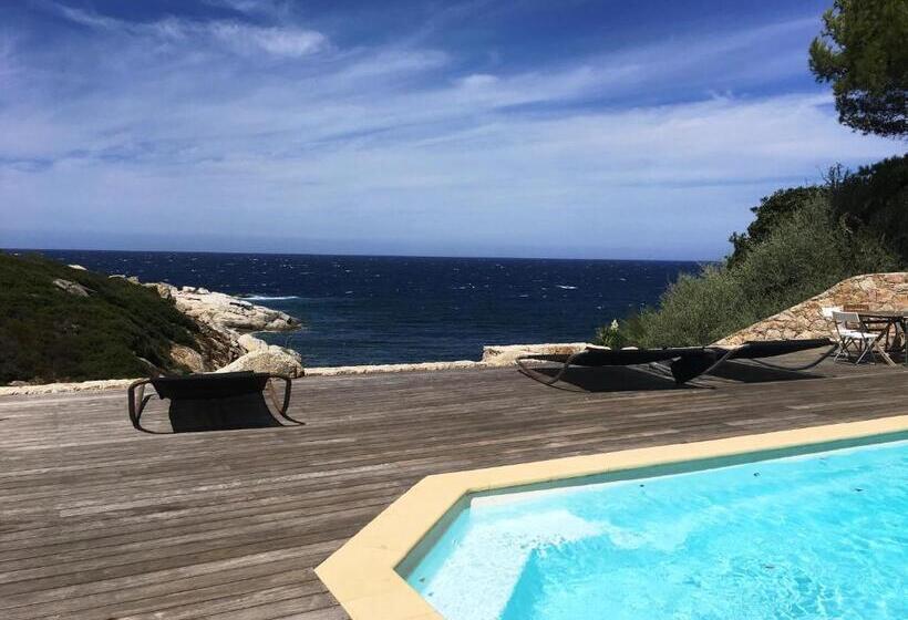 بنسيون Castelia