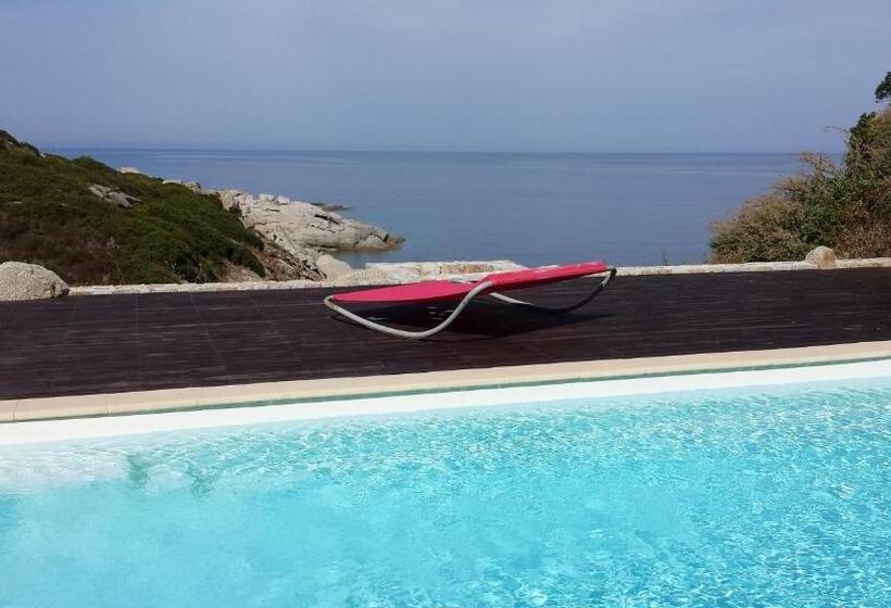 بنسيون Castelia