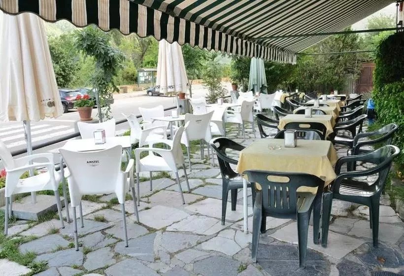 ペンション Hostal Casa Rosita