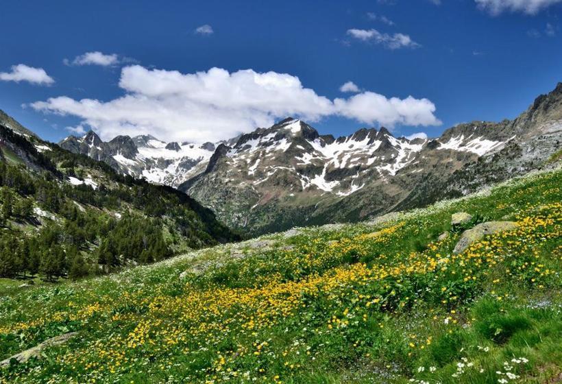 פנסיון Hostal Casa Rosita