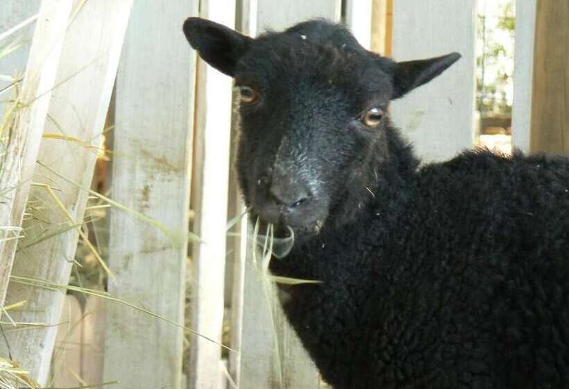 Pension Les Persiennes