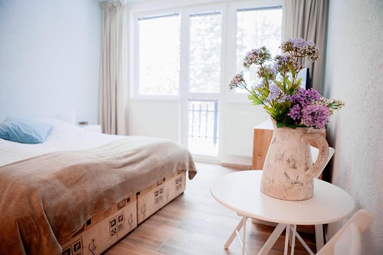 膳宿费 Penzión Modrý Dom