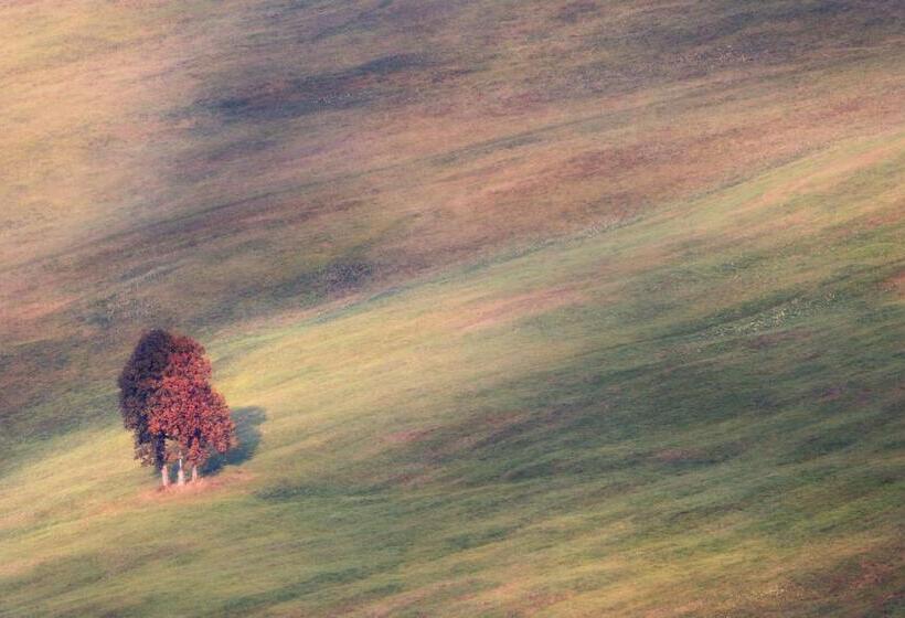 Пансион Villa Zora