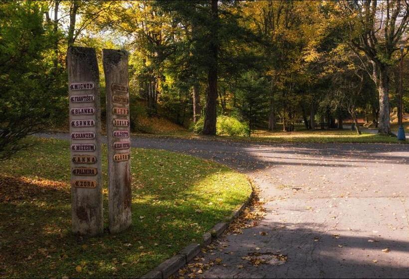 פנסיון Villa Zora