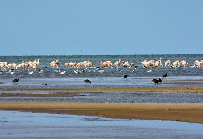 فندق صغير Andaluhe Posada