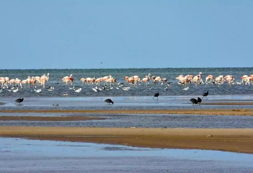 Retkeilymaja Andaluhe Posada