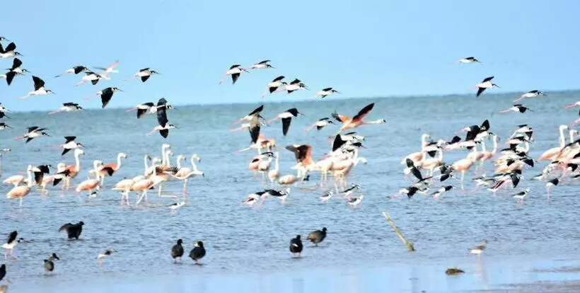 Retkeilymaja Andaluhe Posada