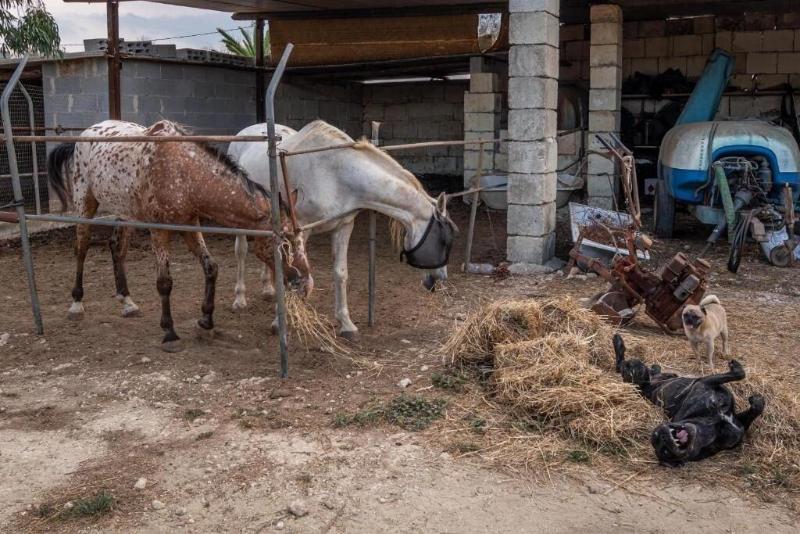 호텔 Masseria Cinti