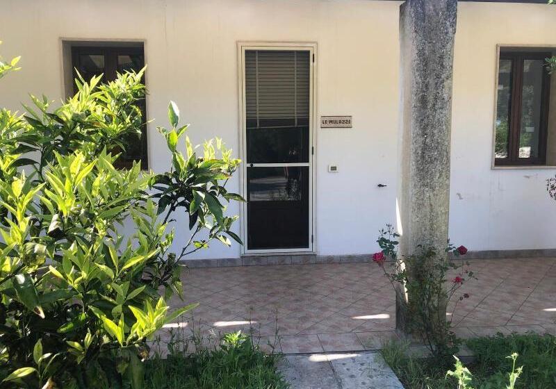 호텔 Masseria Cinti