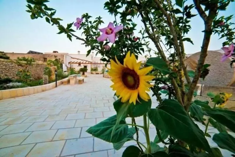 Hotelli Masseria Cinti