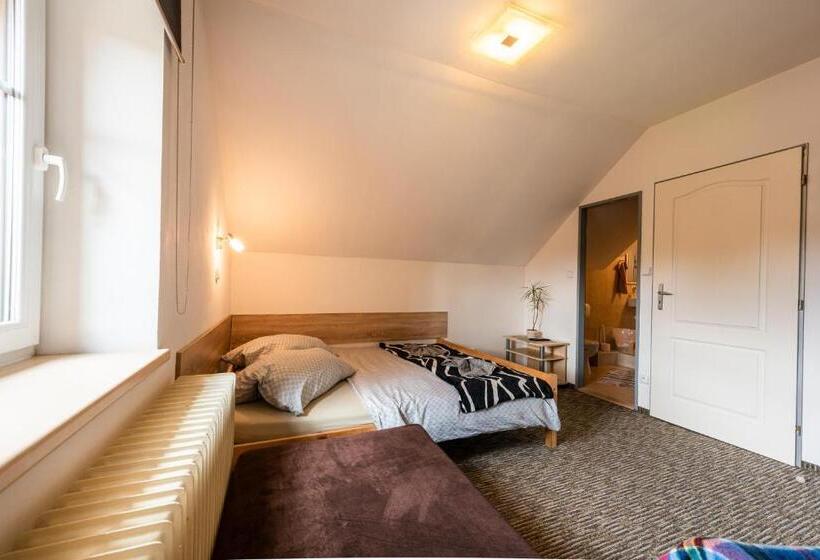 פנסיון Penzion 103