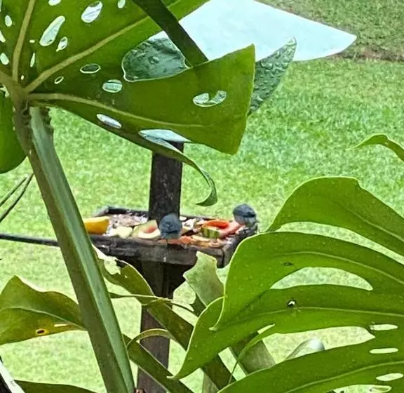 ペンション Pousada Brisa Do Vale