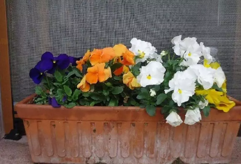 هتل Apartamentos Rurales Kastonea