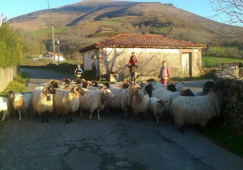 هتل Apartamentos Rurales Kastonea