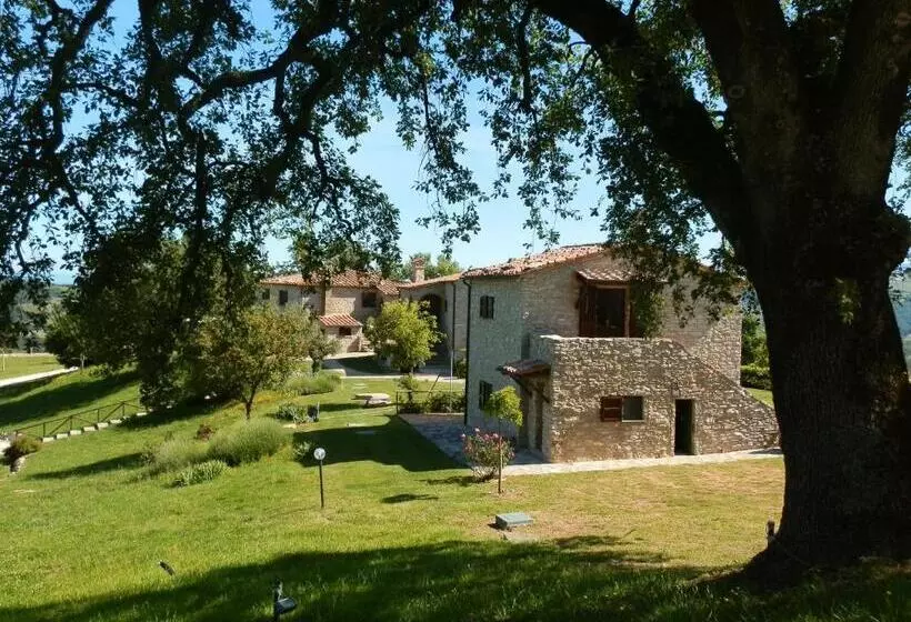 ホテル Sasseta Alta