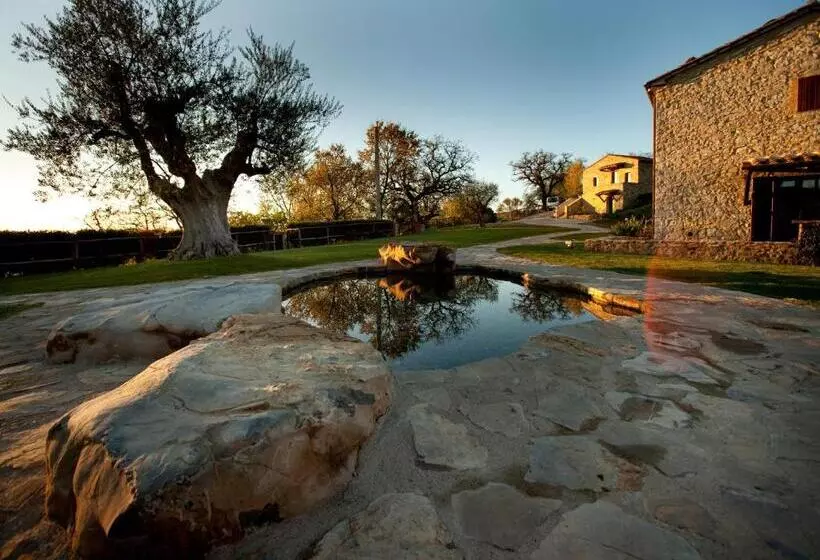 ホテル Sasseta Alta