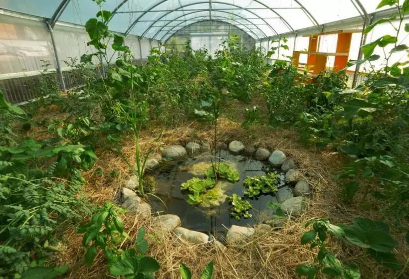 ホテル Sasseta Alta