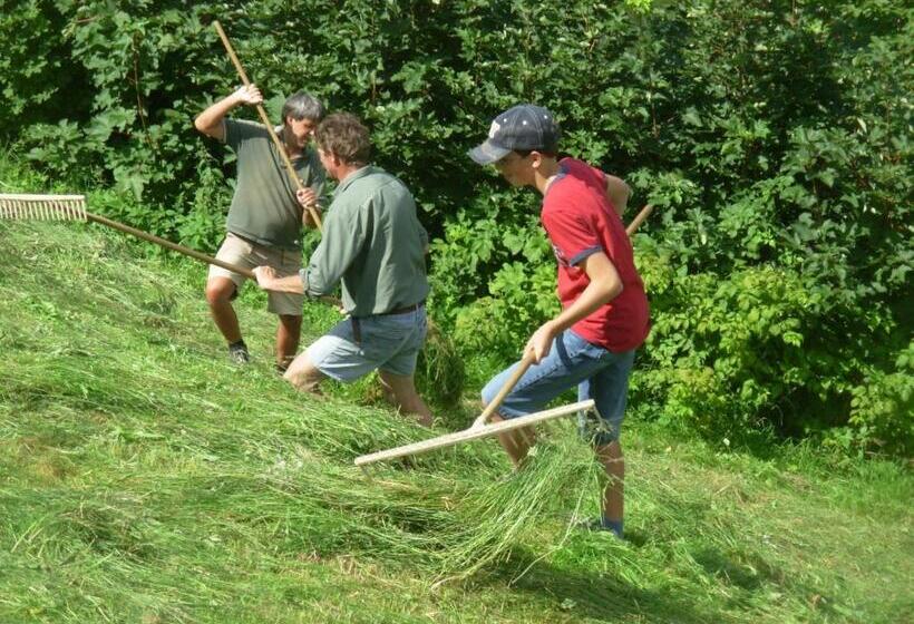 فندق Wandlehenhof