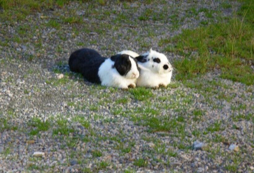 فندق Wandlehenhof