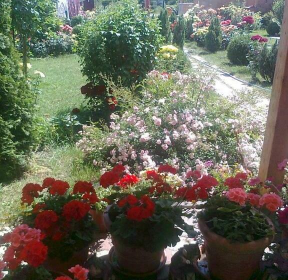 פנסיון Brigitta Vendégház