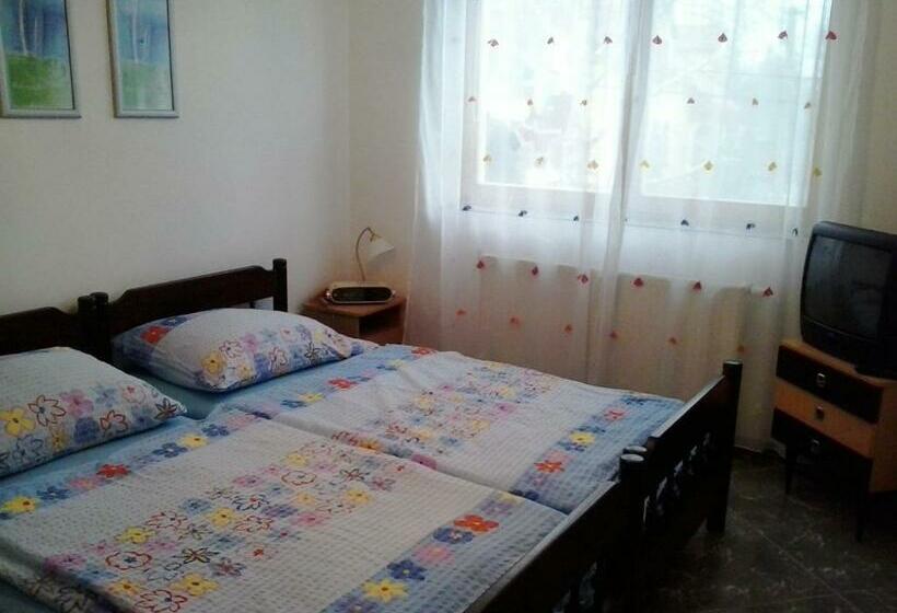 פנסיון Brigitta Vendégház