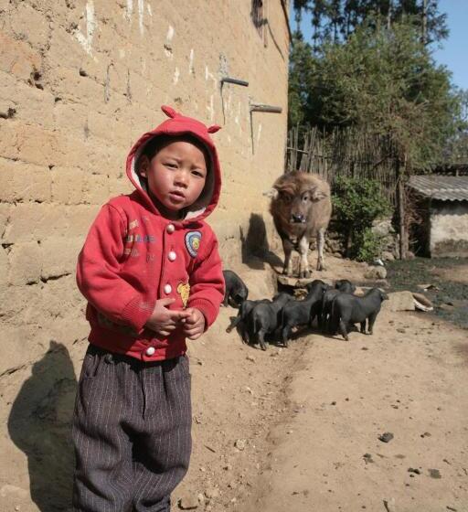 膳宿费 Flowers Residence