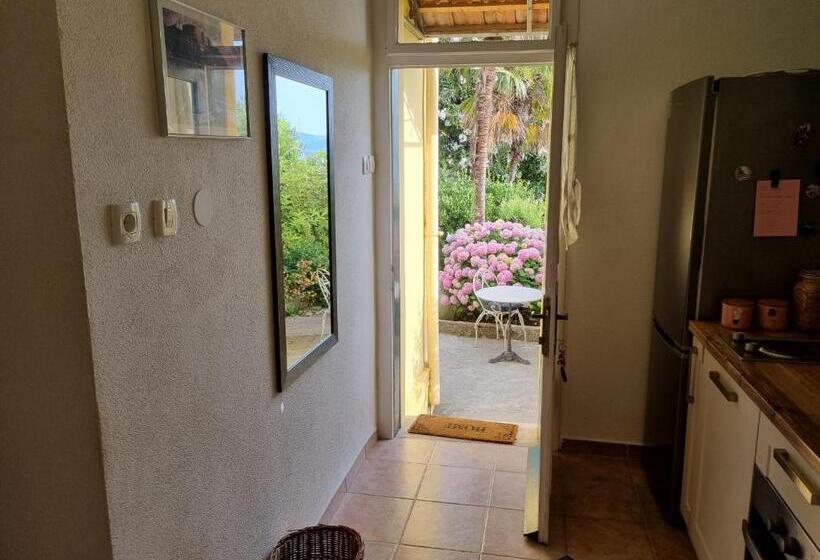 پانسیون House Grabic