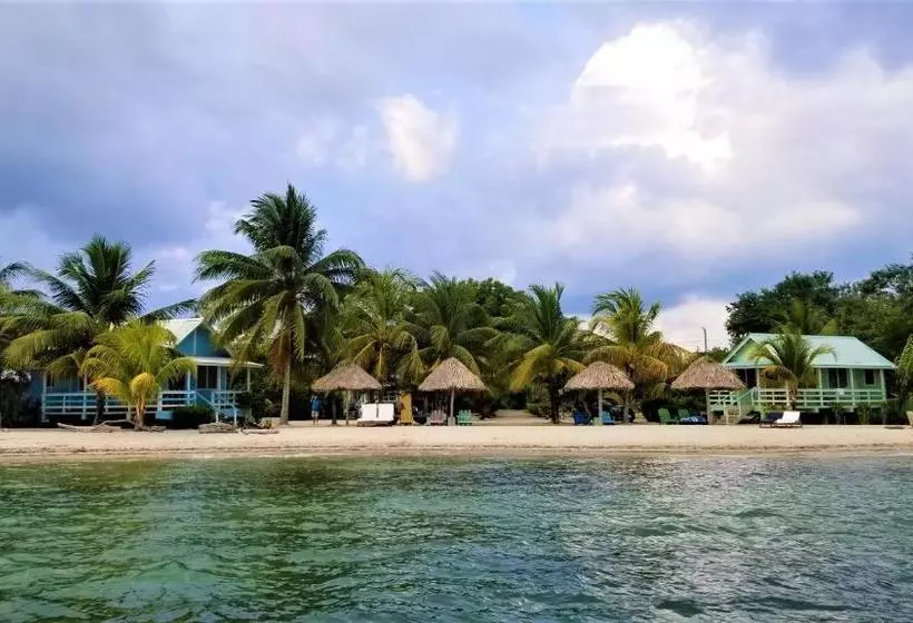 هاستل Village Inn