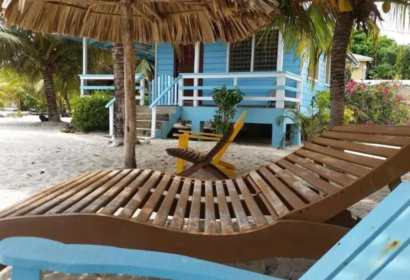 هاستل Village Inn